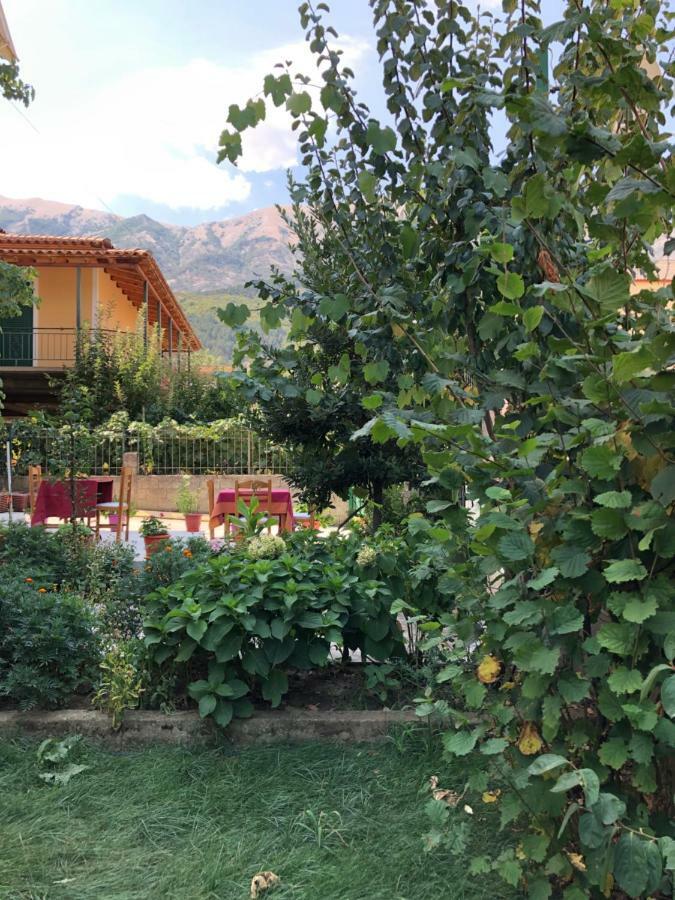 Hotel Villa Ago Permet Bagian luar foto